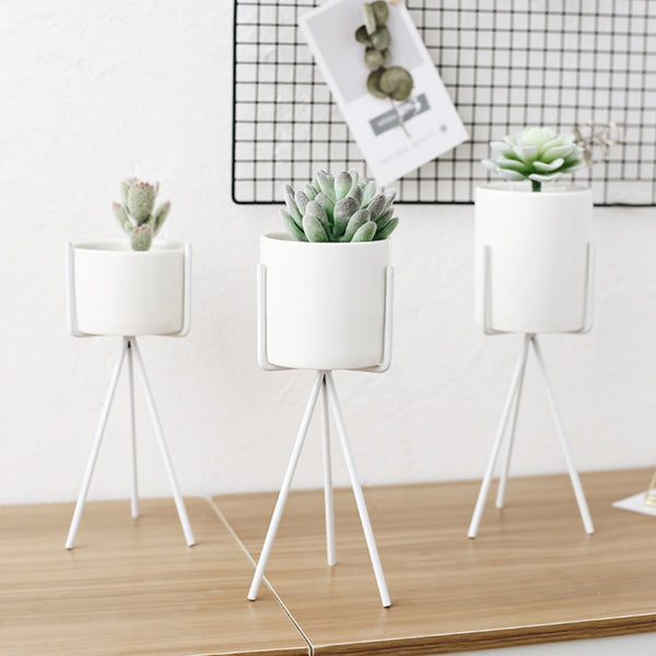 Holder Vase For Flowers