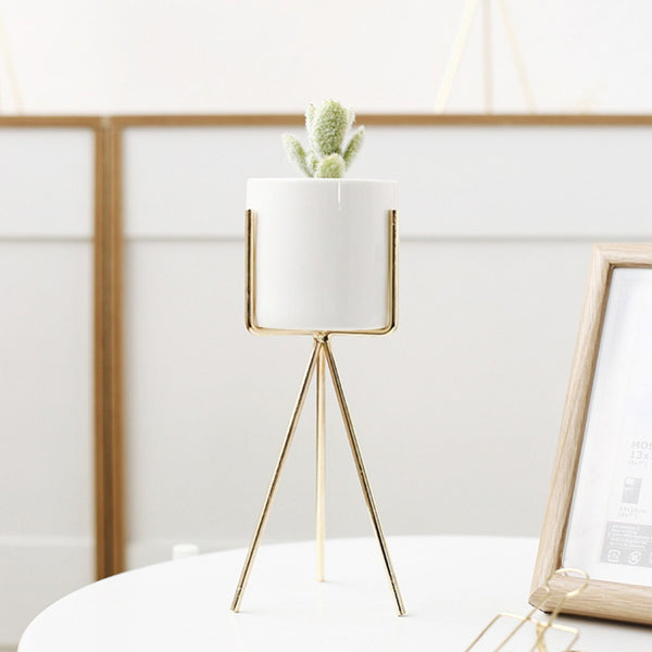 Holder Vase For Flowers