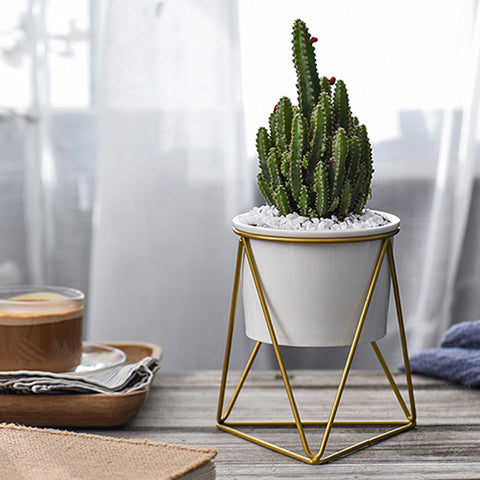 Ceramic Stand for Plants