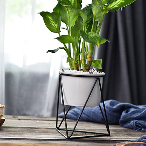 Ceramic Stand for Plants