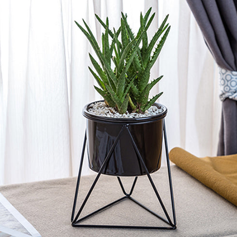 Ceramic Stand for Plants