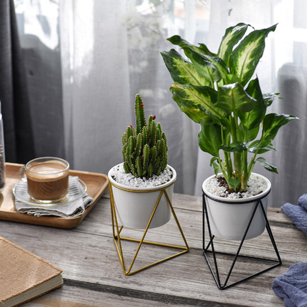 Ceramic Stand for Plants