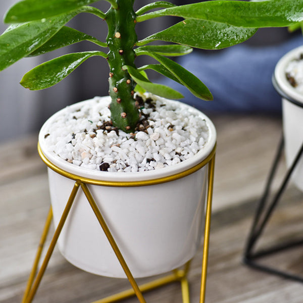 Ceramic Stand for Plants