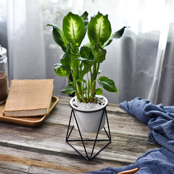 Ceramic Stand for Plants