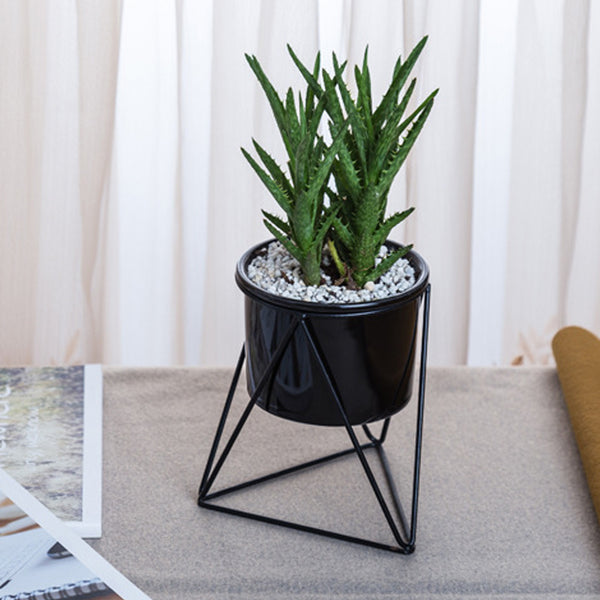 Ceramic Stand for Plants