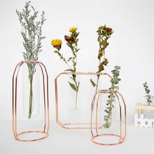 Hanging Invisible Flower Pot