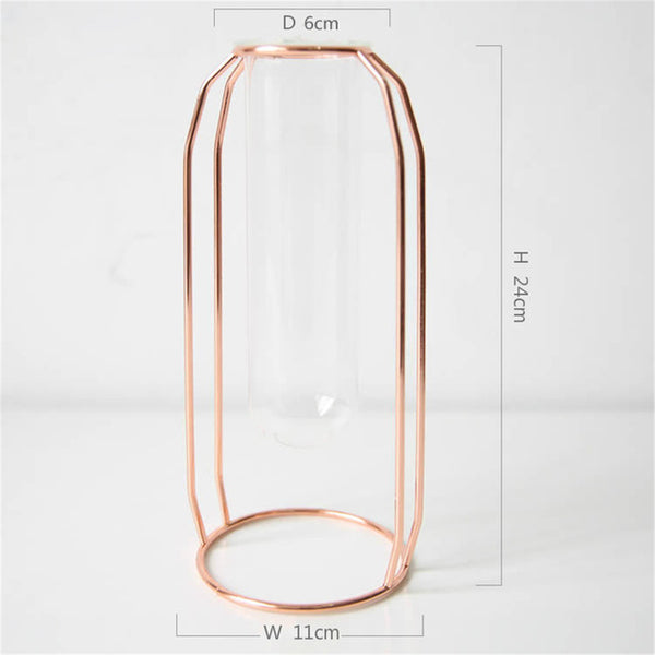 Hanging Invisible Flower Pot