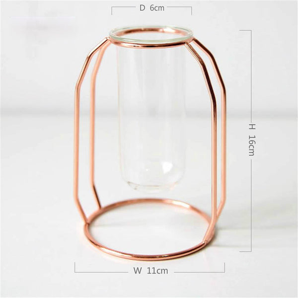 Hanging Invisible Flower Pot