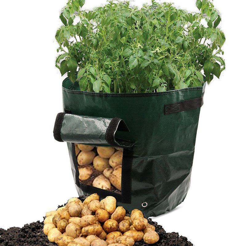 Vegetable Planting Bag