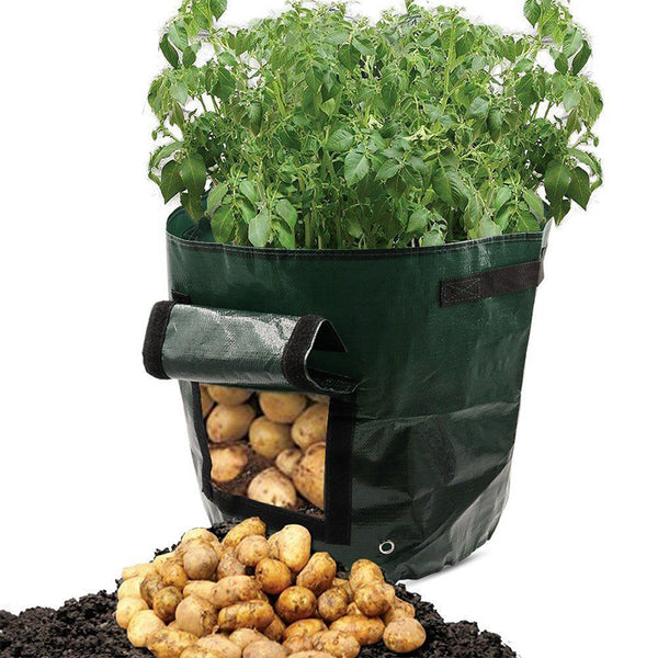 Vegetable Planting Bag