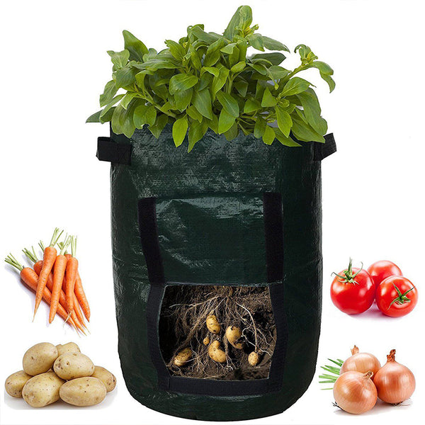 Vegetable Planting Bag