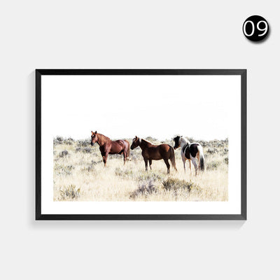 Wall Canvas Selection